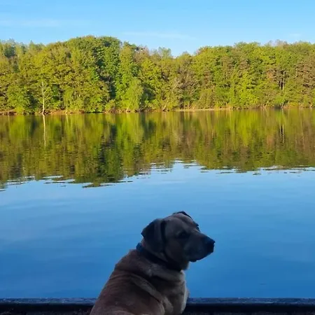 Сasa de vacaciones Szary W Poroscie Porost